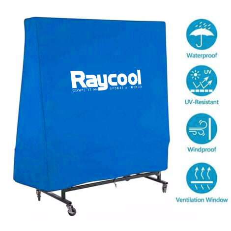 Mesa de Ping Pong Interior Raycool Legend 380