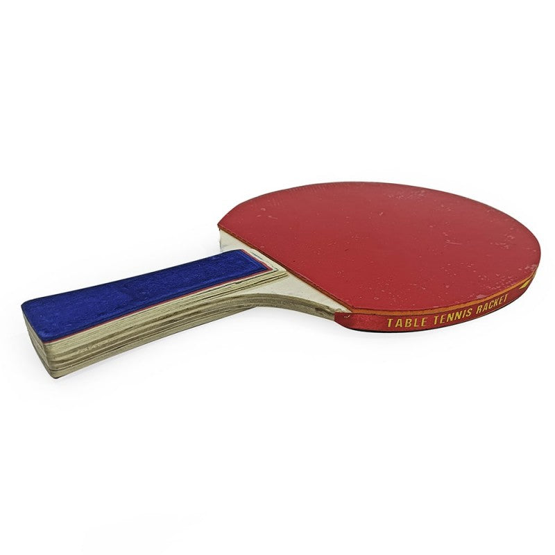 Juego de raqueta de tenis de Mesa con funda y 2 pelotas de ping pong
