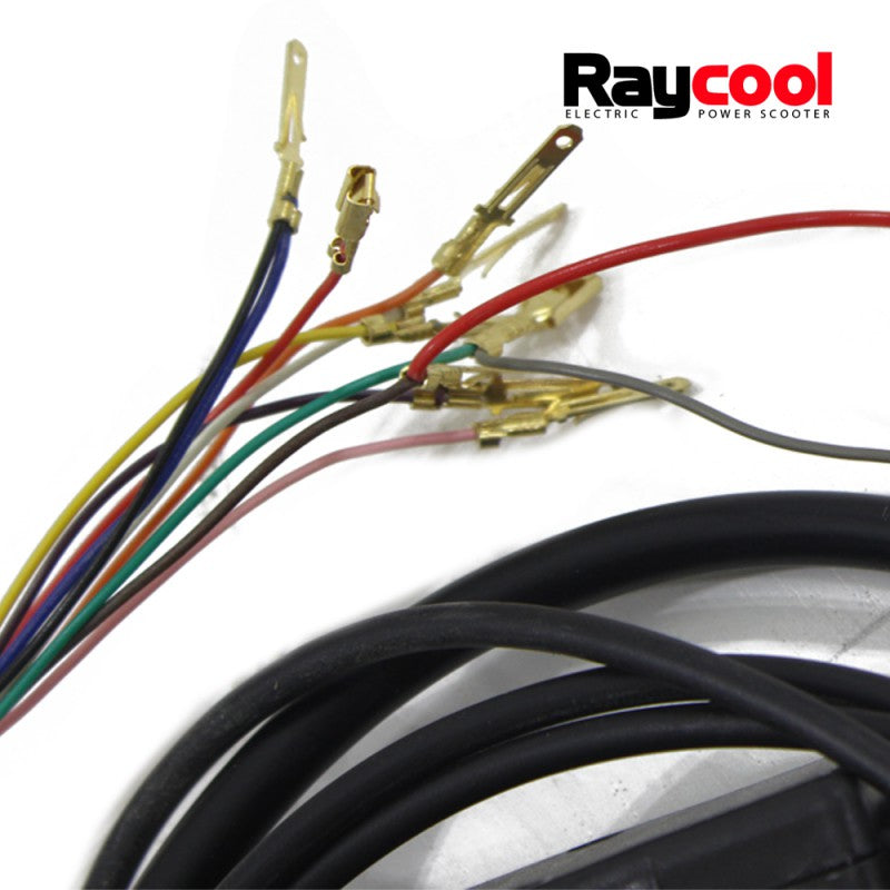 Set de Cables completo para Patinetes Raycool Brushless