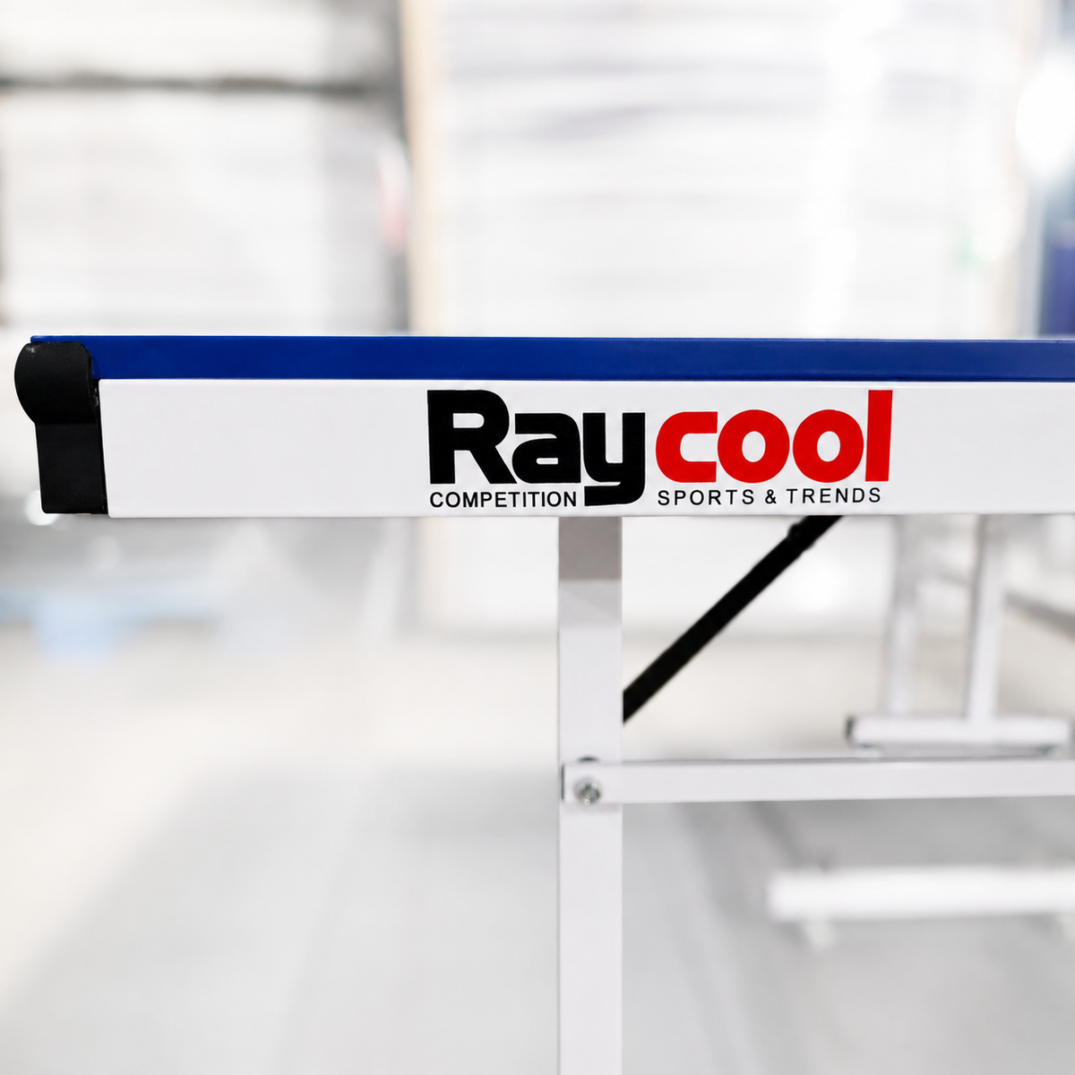 Mesa de Ping Pong Exterior Raycool Legend 800