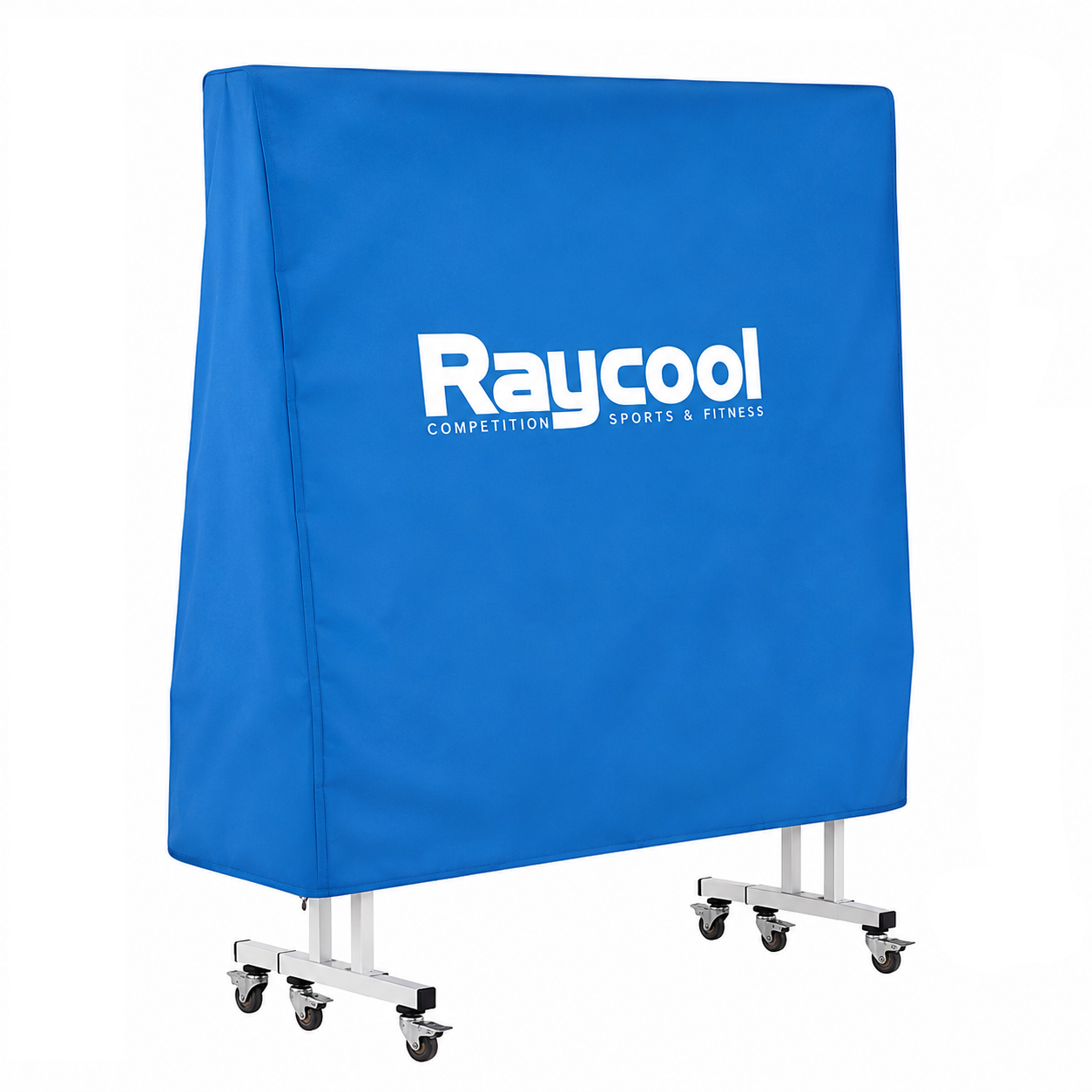 Mesa de Ping Pong Interior Raycool Legend 300