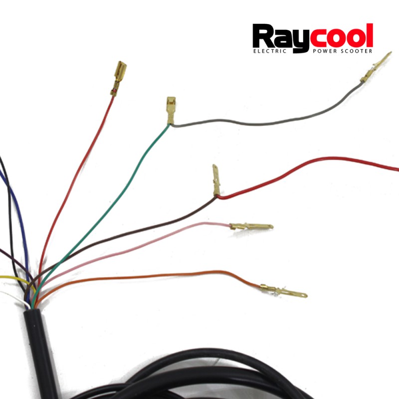 Set de Cables completo para Patinetes Raycool Brushless
