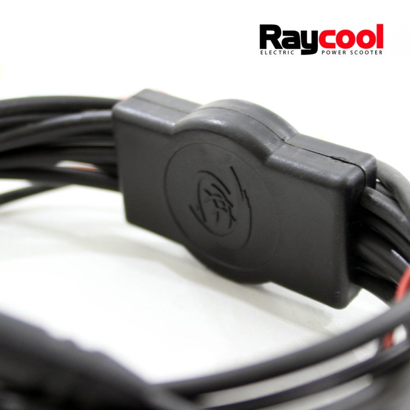 Set de Cables completo para Patinetes Raycool Brushless