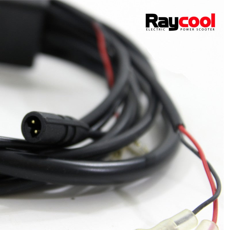 Set de Cables completo para Patinetes Raycool Brushless